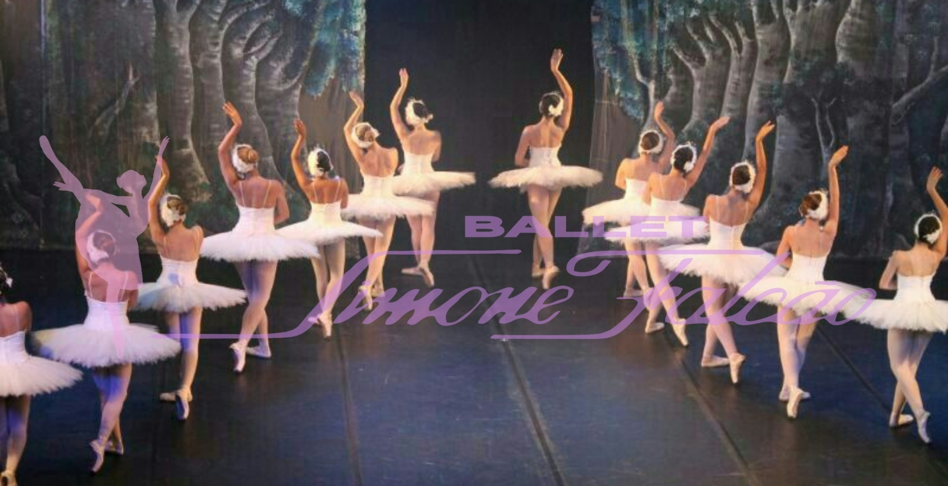 Ballet Adulto - Ballet Simone Falcão